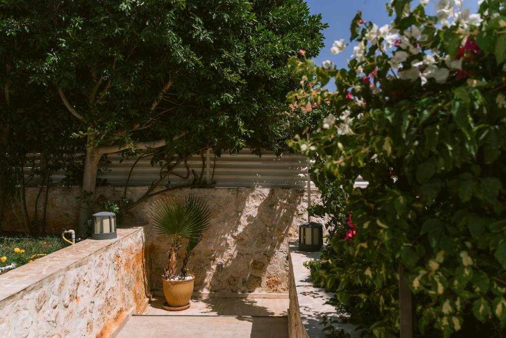 Zahrada ubytování Villa Lalaland ЕСО Retreat