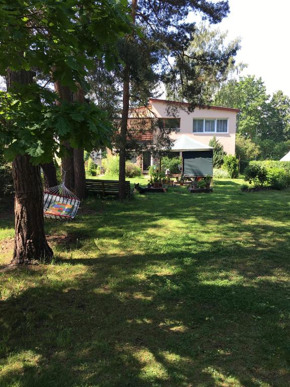 a house with a tree and a hammock in a yard at Monikas in Lapmežciems