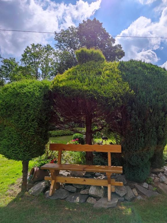 Zahrada ubytování Agroturystyka u Strażaka