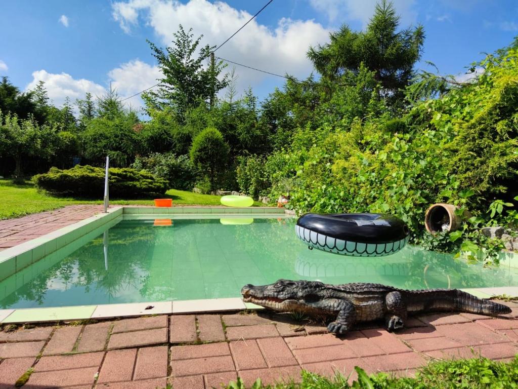 Bazén v ubytování Agroturystyka u Strażaka nebo v jeho okolí