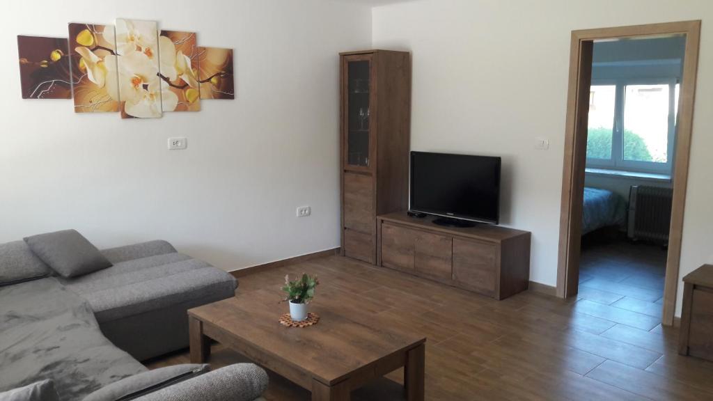 uma sala de estar com um sofá e uma televisão em Apartma Sterle em Stari Trg pri Ložu