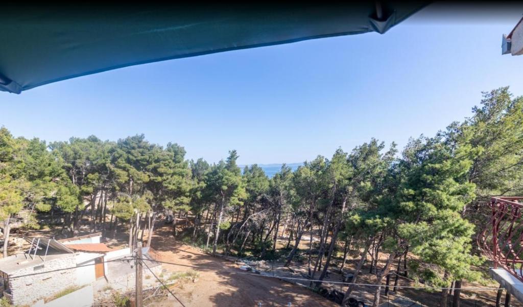 Příroda nedaleko apartmánu