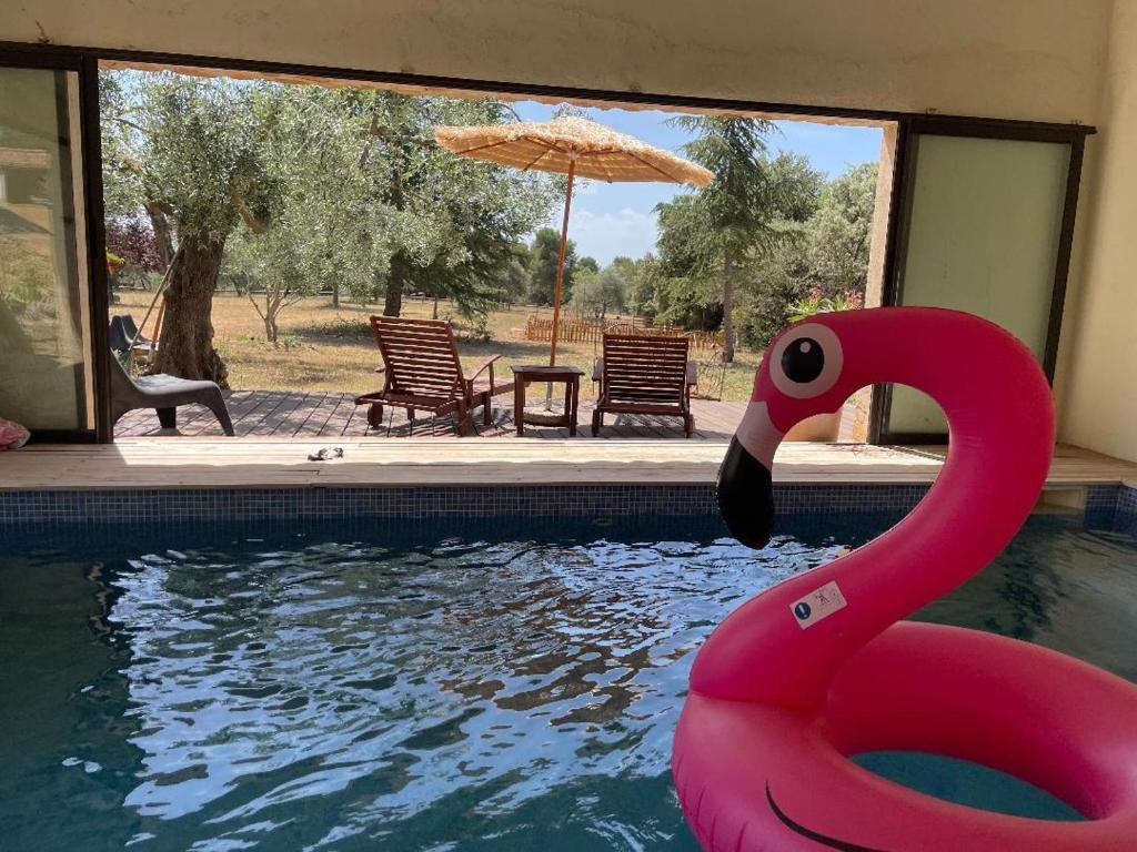 a pink swan in the water in a pool at Gite Les Robiniers in Beaumont-de-Pertuis