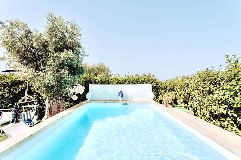 una piscina con alberi sullo sfondo di Villa Marea - Relax & Pool a Polignano a Mare