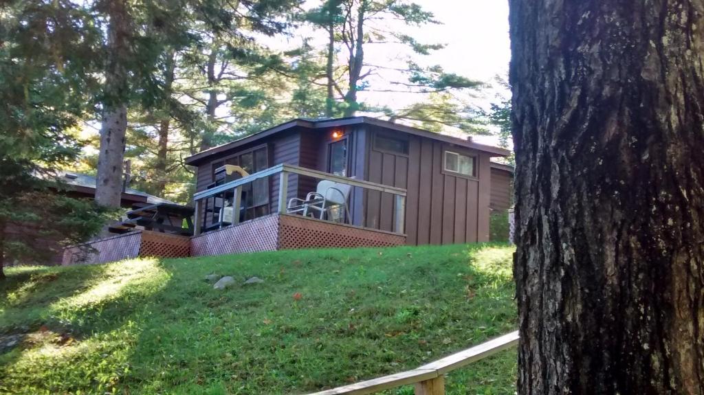 une petite maison au sommet d'une colline dans l'établissement The Pines Cottage Resort, à Oxtongue Lake