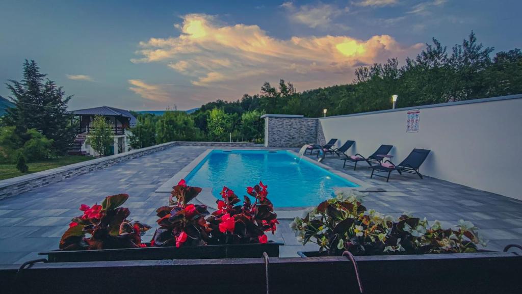 einen Pool mit roten Blumen auf einer Terrasse in der Unterkunft Holiday Home Emir in Račić