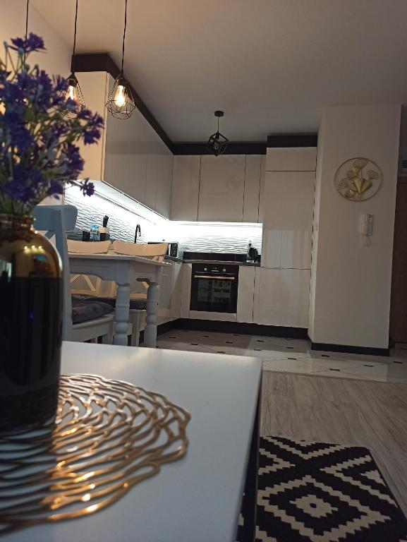 Kuchyňa alebo kuchynka v ubytovaní Apartament Czarna Perła