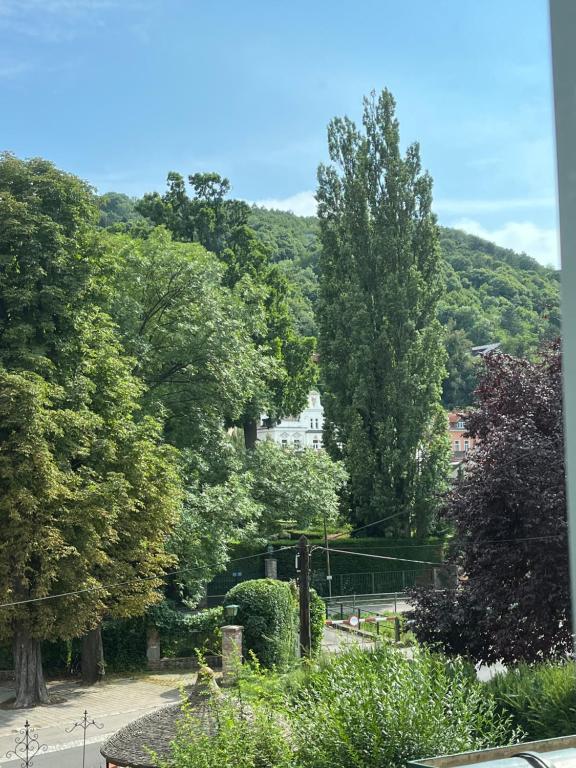Príroda v okolí apartmánu