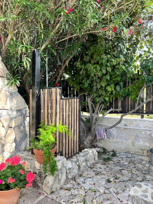 Vonkajšia záhrada v ubytovaní Villa Sebastian- Incomparabile vista sul mare