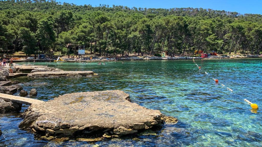 Apartments Okuka - 16