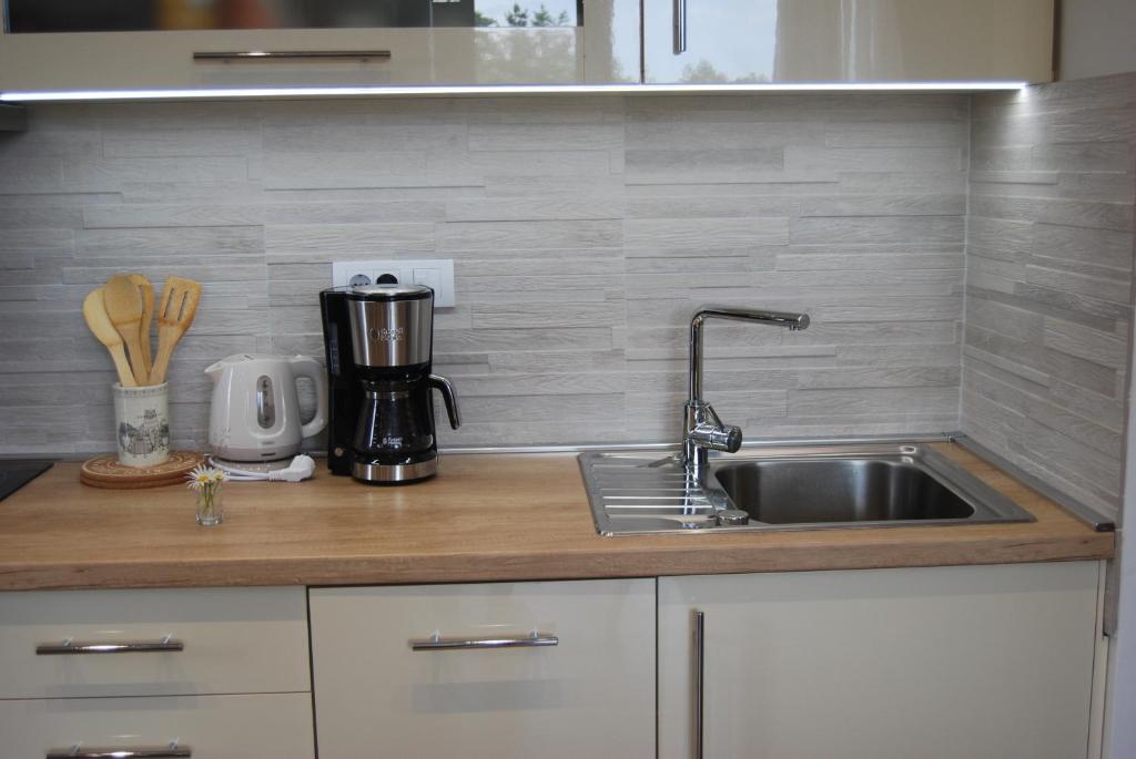 Kuchyň nebo kuchyňský kout v ubytování Apartman Oblačak Divčibare