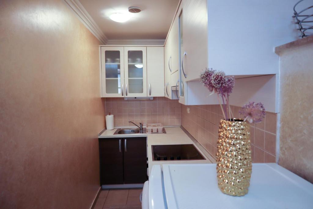Apartments Okuka - Studio With Patio