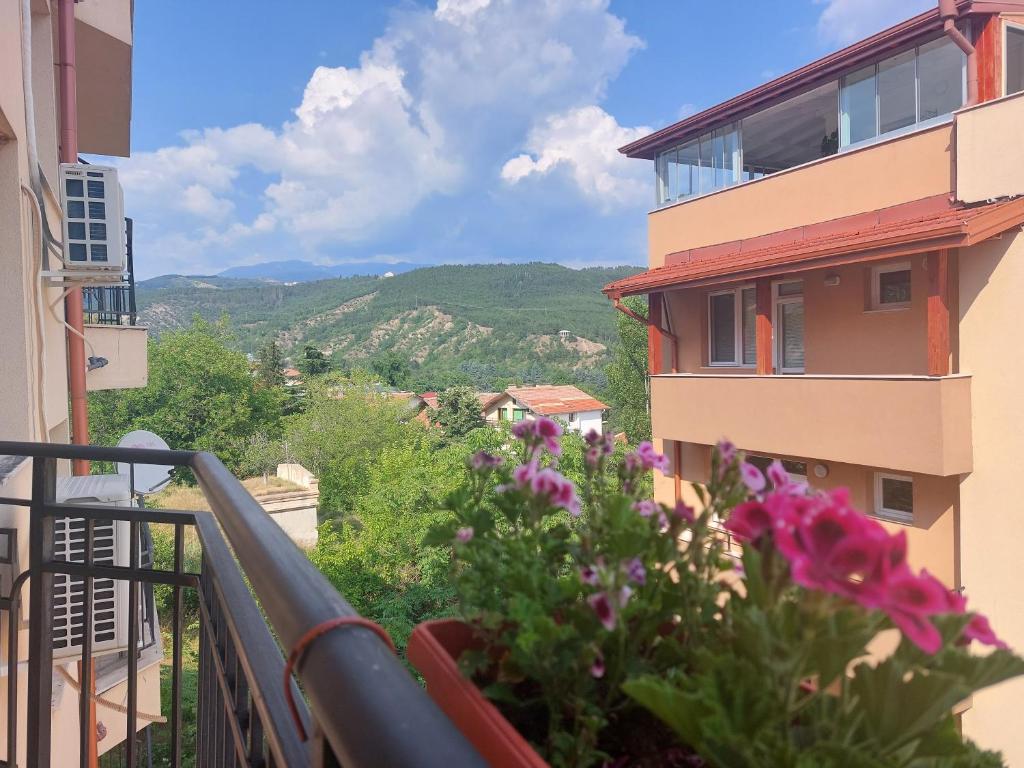 un balcón de un edificio con flores púrpuras y montañas en Apartament Emi, en Sandanski
