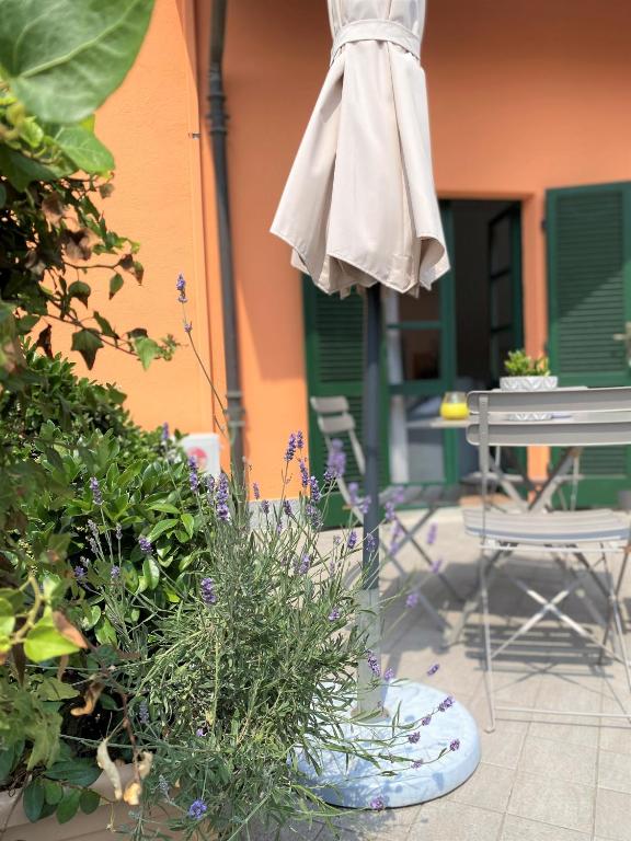 patio con tavolo, ombrellone e alcune piante di La Casa di Ringhiera ad Alba