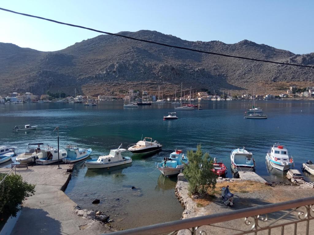 a group of boats docked in a body of water at Pedi Breeze in Symi