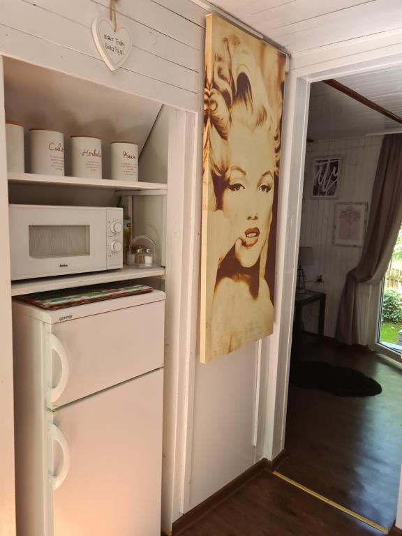 uma cozinha com um frigorífico e um micro-ondas em Little Angel em Warchały