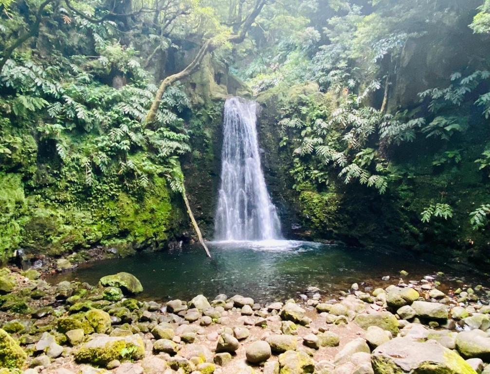 a waterfall in the middle of a forest at Casa Auri in Faial da Terra