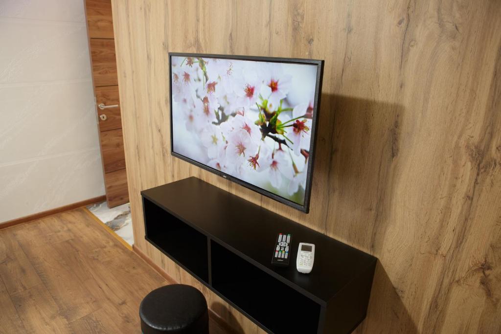TV a/nebo společenská místnost v ubytování B H B Apartmani