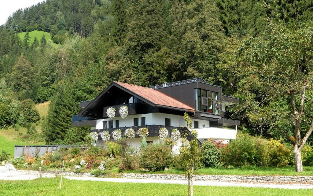Příroda nedaleko apartmánu