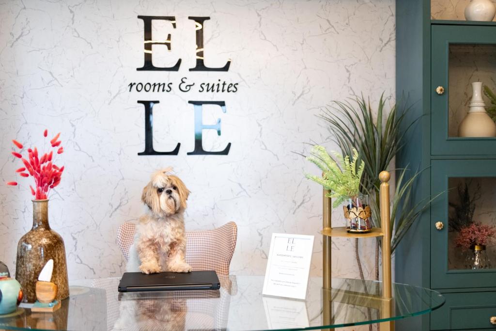 Fotografie z fotogalerie ubytování ELLE Rooms & Suites v destinaci Paralia Katerinis