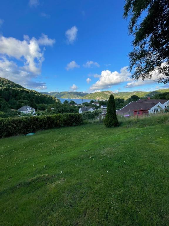 un campo de hierba verde con un árbol en primer plano en Jåsund SunView, en Lyngdal