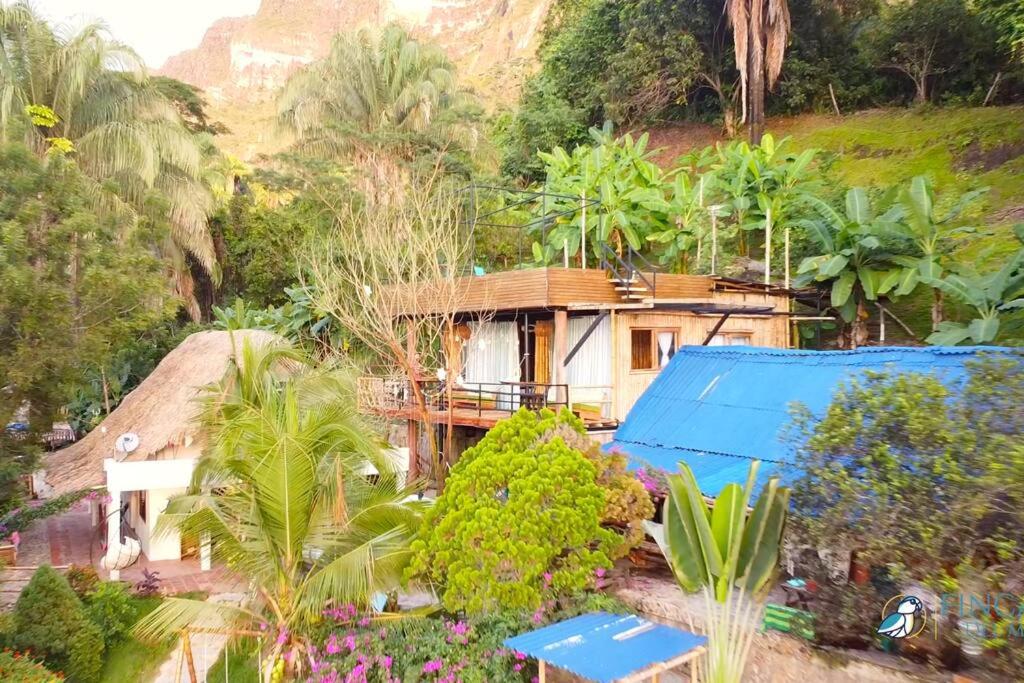 una vista aérea de una casa en la selva en Casa de las Guacamayas, en Prado