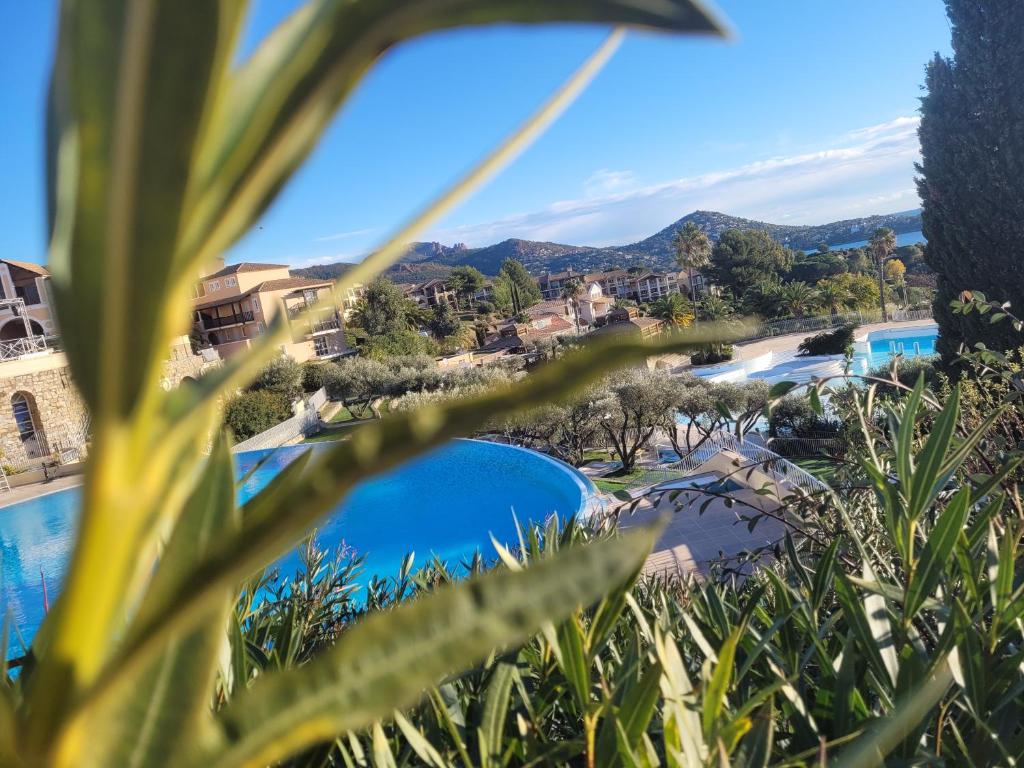 a view of the resort from behind some plants at Superbe studio 4&#47;5 pers dans résidence cap esterel in Agay - Saint Raphael