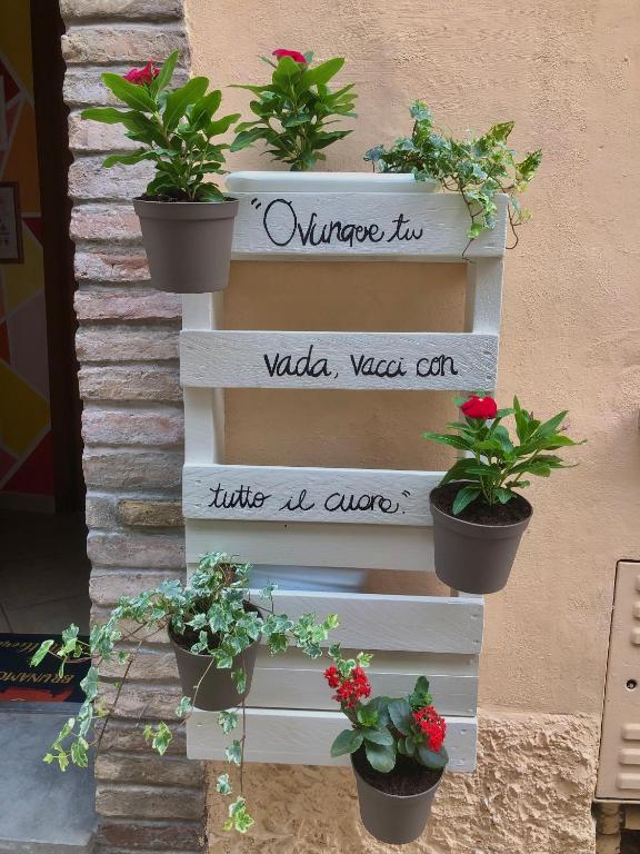 Zdjęcie z galerii obiektu B&B Brunamonti w mieście Arcevia