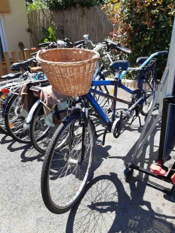 Jazda na bicykli v okolí ubytovania Gîte les Noisetiers Maison familiale avec piscine