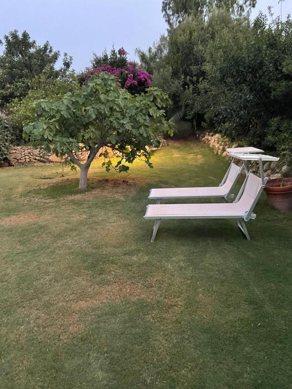 Vonkajšia záhrada v ubytovaní Natura & Relax Ficus