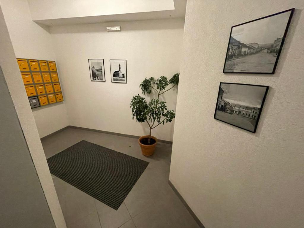 Fotografie z fotogalerie ubytování A2 v destinaci Veliko Gradište