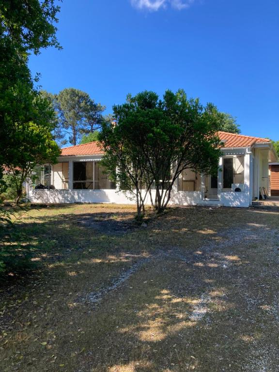 une maison avec un arbre en face d'une cour dans l'établissement La Canaulaise, à Lacanau