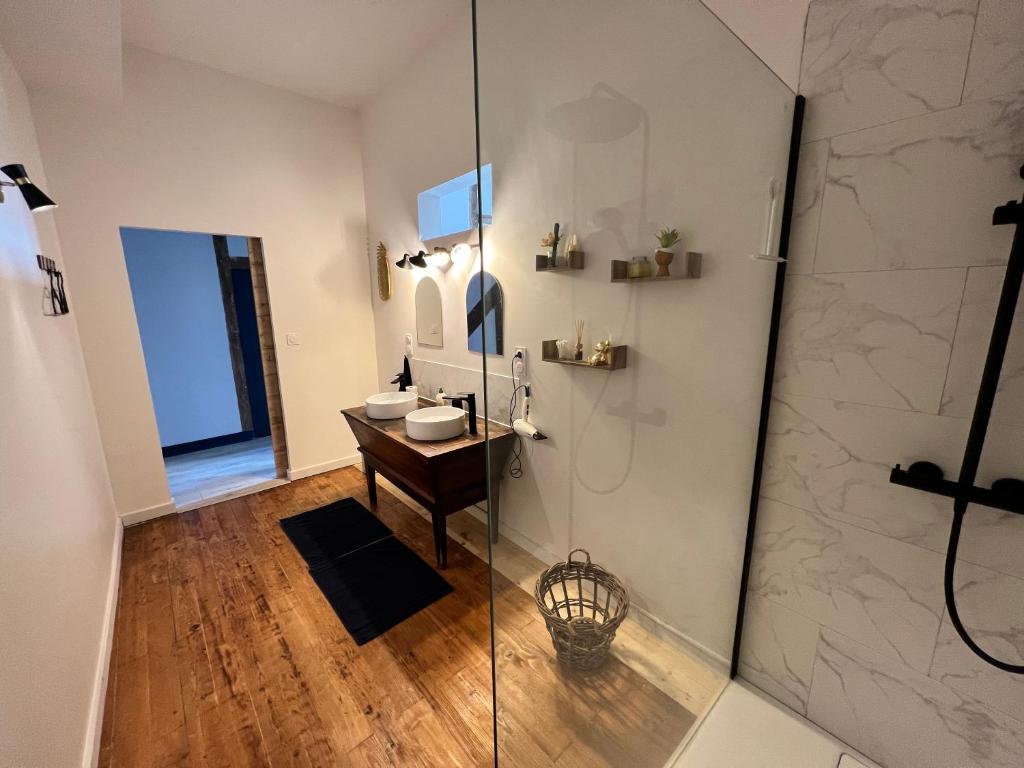 La salle de bains est pourvue d&#39;une douche, d&#39;un lavabo et d&#39;un miroir. dans l&#39;établissement Maison dans quartier historique : La Grenouille, à Avallon