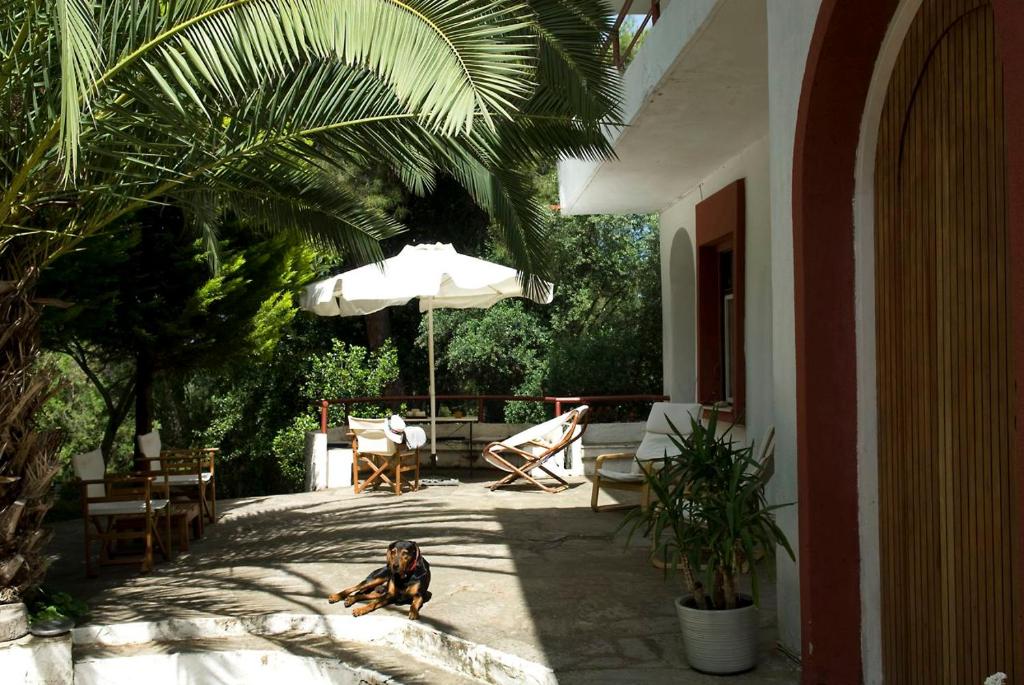 Gallery image of Spacious Villa close to an amazing Sithonia beach in Vourvourou