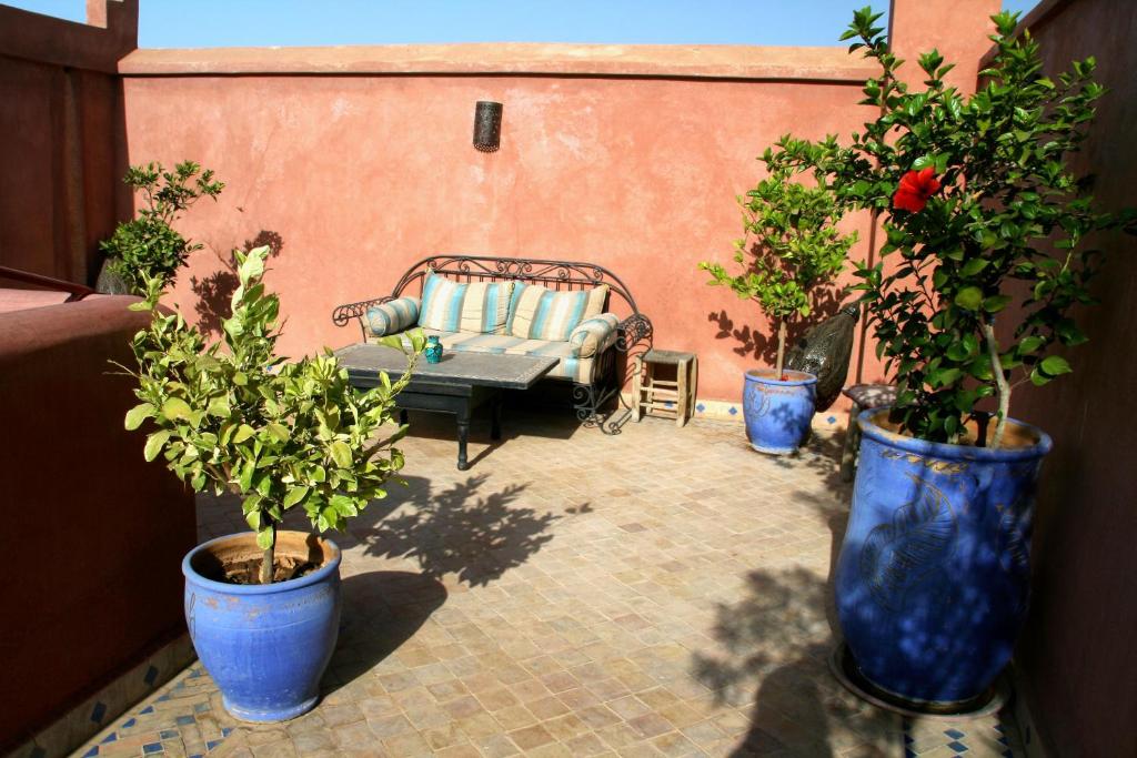 Zahrada ubytování Riad Tahar Oasis