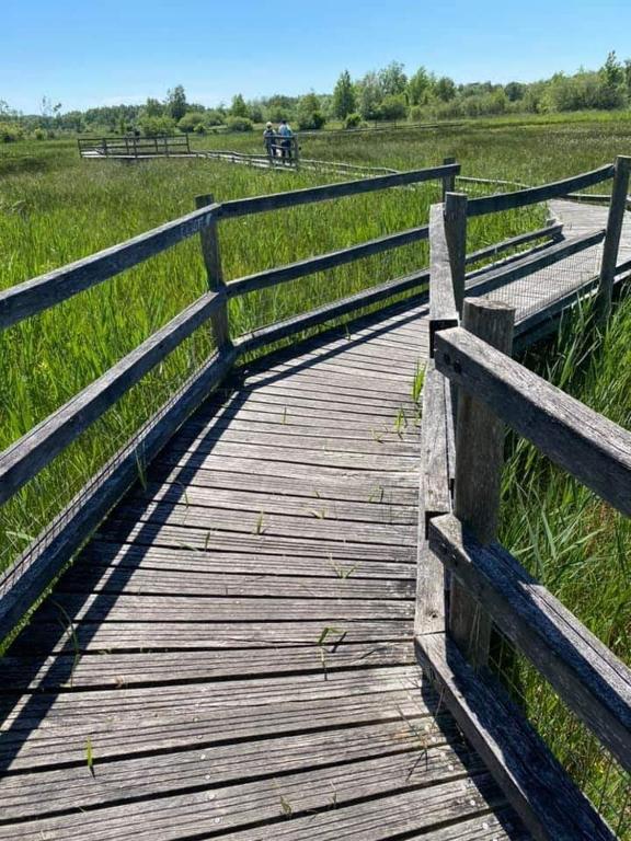 a wooden boardwalk in the middle of a field at Chambre d&#39;hôtes de l&#39;écluse d&#39;Episy avec spa in Épisy