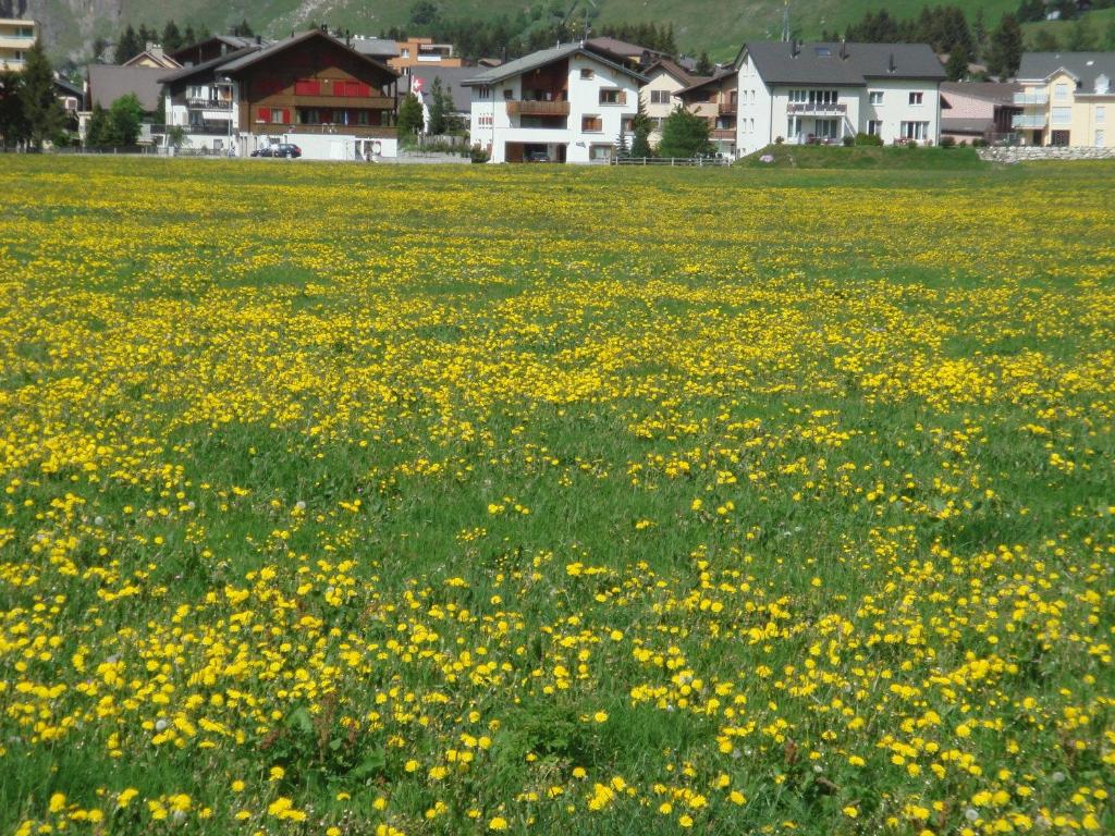 Zahrada ubytování Gasthaus Skiklub
