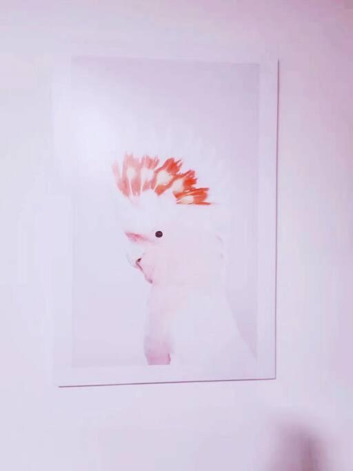 Fotografie z fotogalerie ubytování 温馨舒适3房公寓 1分钟火车站 20分钟到市中心 楼下大型超市woolworth v destinaci Sydney