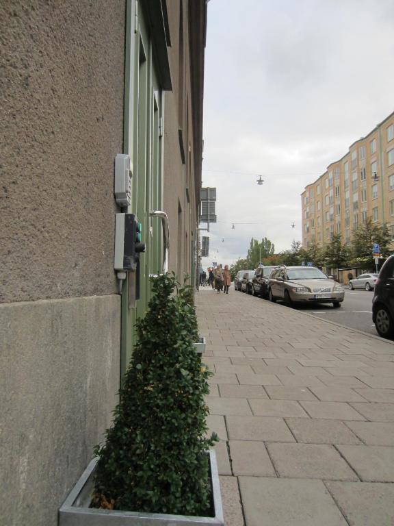 a small christmas tree in a planter next to a building at Hostel Dalagatan in Stockholm