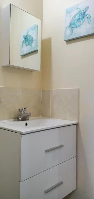 a bathroom with a white sink and a mirror at Hillside Sunrise, 2 Bed 2 Bath in Gated Community, close to beach, food, clubs & shopping Free Parking, Free Wi-Fi in Montego Bay