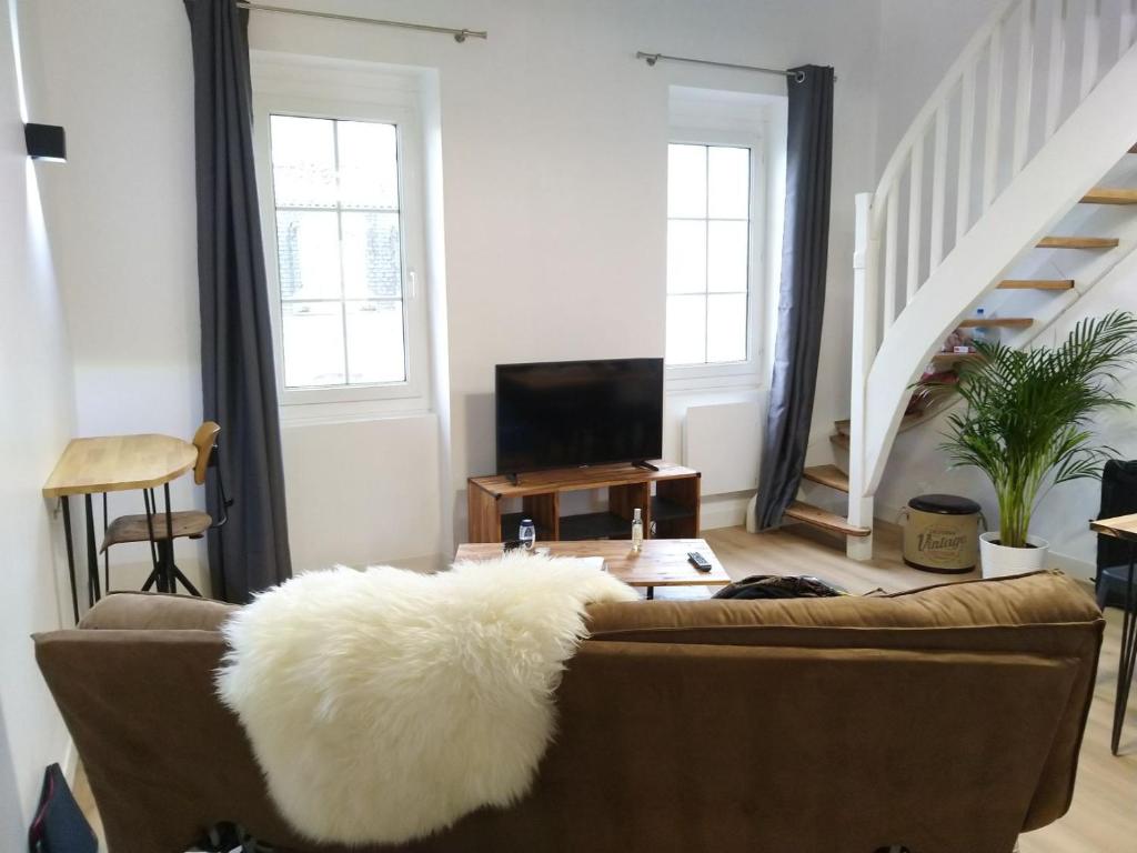 d'un salon avec un canapé et une fausse chemise en fourrure blanche dans l'établissement Appart lumineux historique de Bayonne Saint-Esprit, à Bayonne