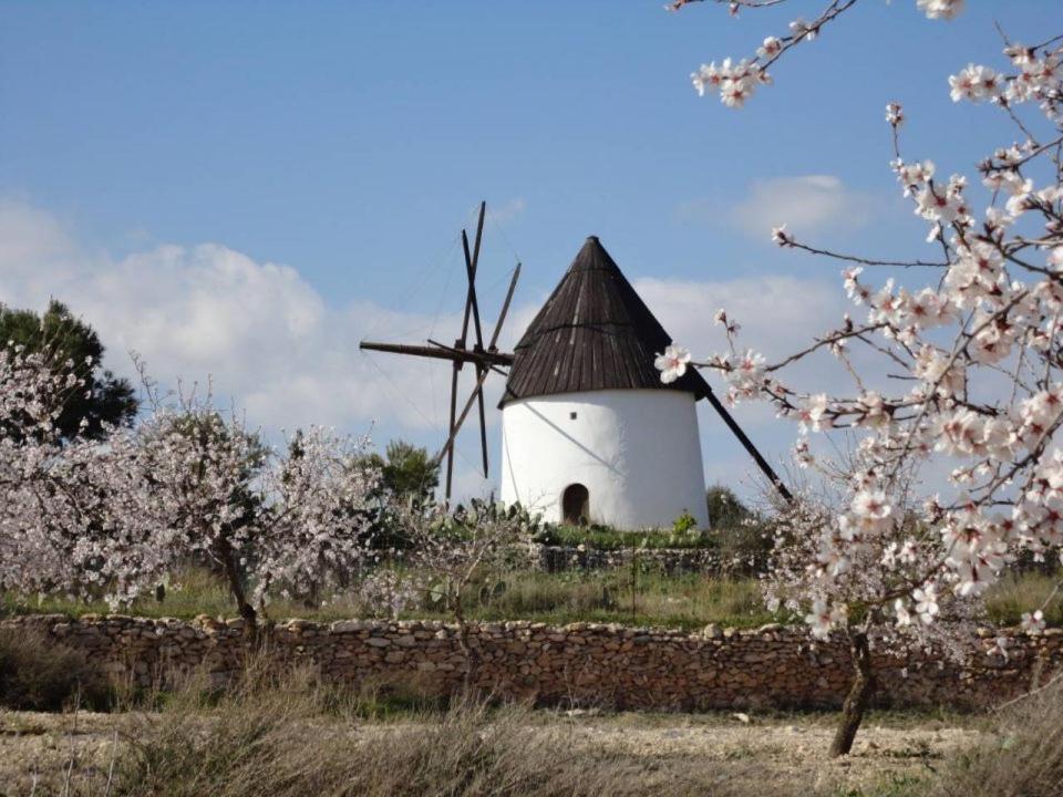Fotografie z fotogalerie ubytování Alojamientos Tía María v destinaci Fernán Pérez