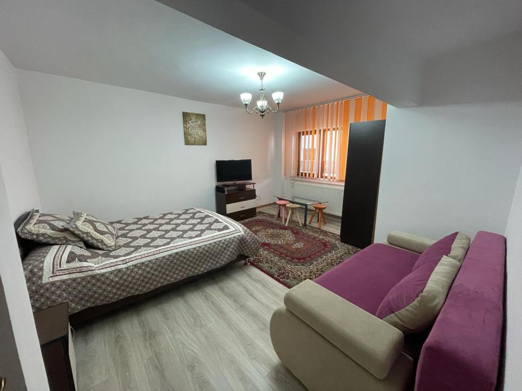 sala de estar con cama y sofá en Apartament Mioritza 2A en Horezu