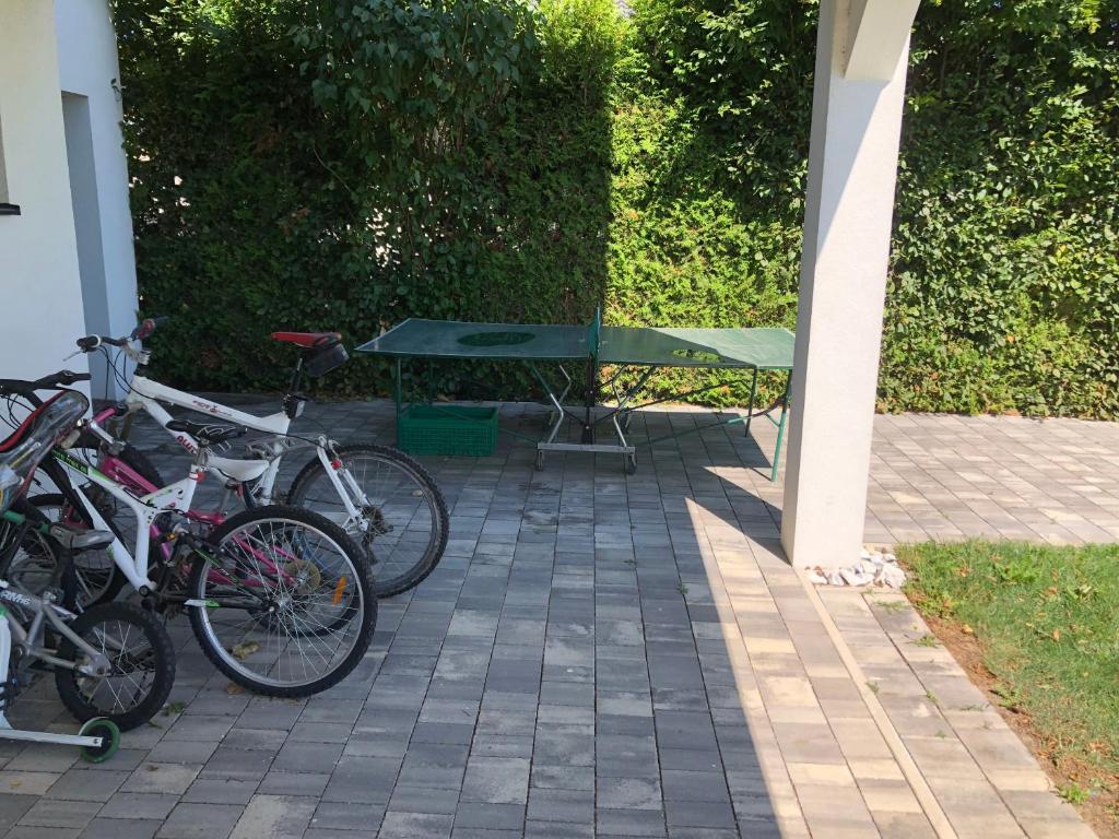 Jízda na kole v ubytování das Haus in Jois nebo okolí