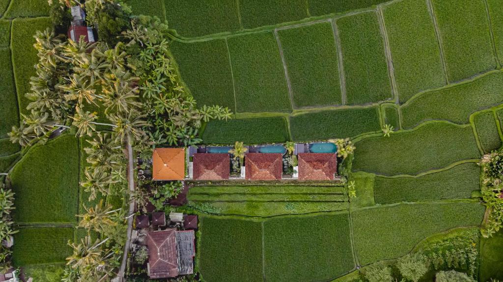 una vista in alto di una casa in un campo di Airsania Ubud Antique Villas ad Ubud