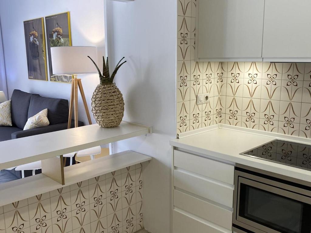 Kuchyňa alebo kuchynka v ubytovaní 2 apartamentos muy luminosos con grandes terraza