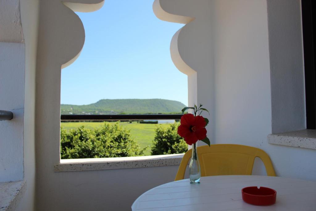 a vase with a red flower on a table with a window at Hostal Alhambra in Zahora