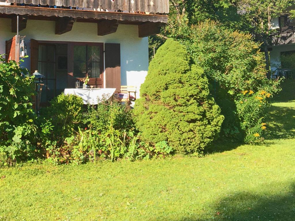 une maison avec une grande brousse dans la cour dans l'établissement Ferienwohnung Spitzstein Bentz, à Sachrang