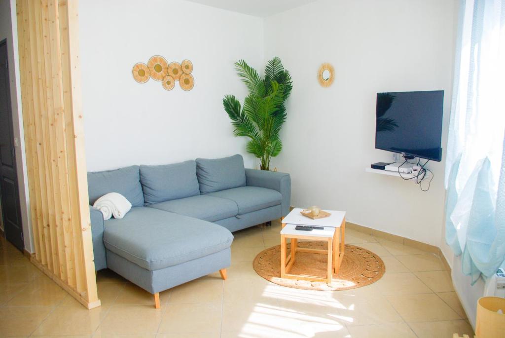 un salon avec un canapé bleu et une télévision dans l'établissement SARMENT EXOTIQUE, à Châlons-en-Champagne