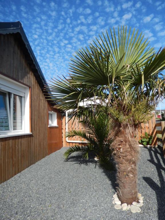 a palm tree in front of a house at Chalet ALOHA in Saint-Côme-de-Fresné